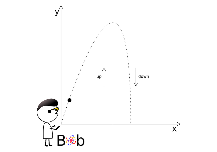 Physics Puzzles: A Pebble Thrown in the Air